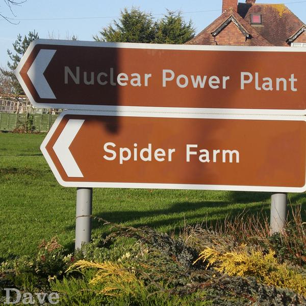 spider farm